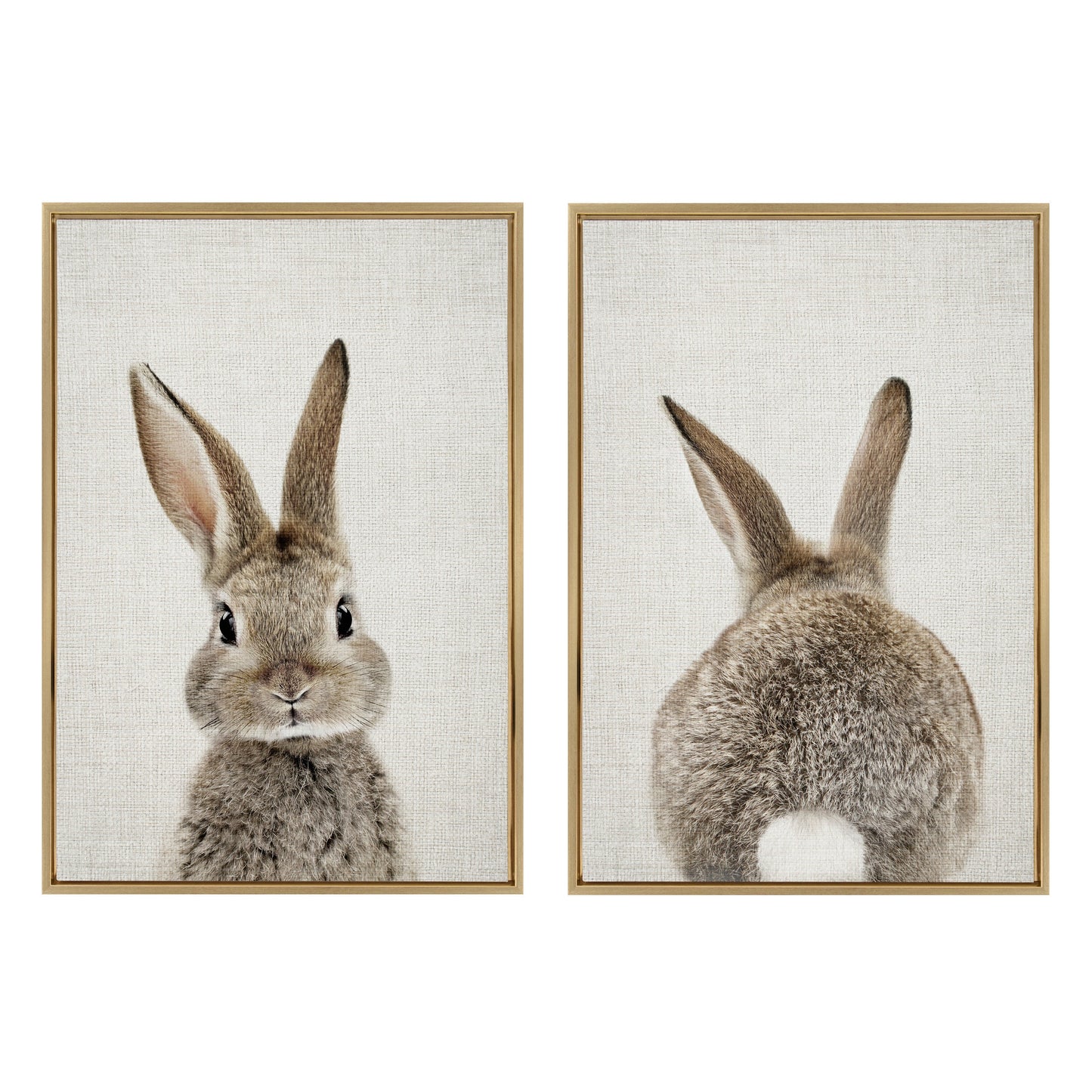 Sylvie Bunny Portrait and Bunny Tail Framed Canvas Art Set by Amy Peterson Art Studio