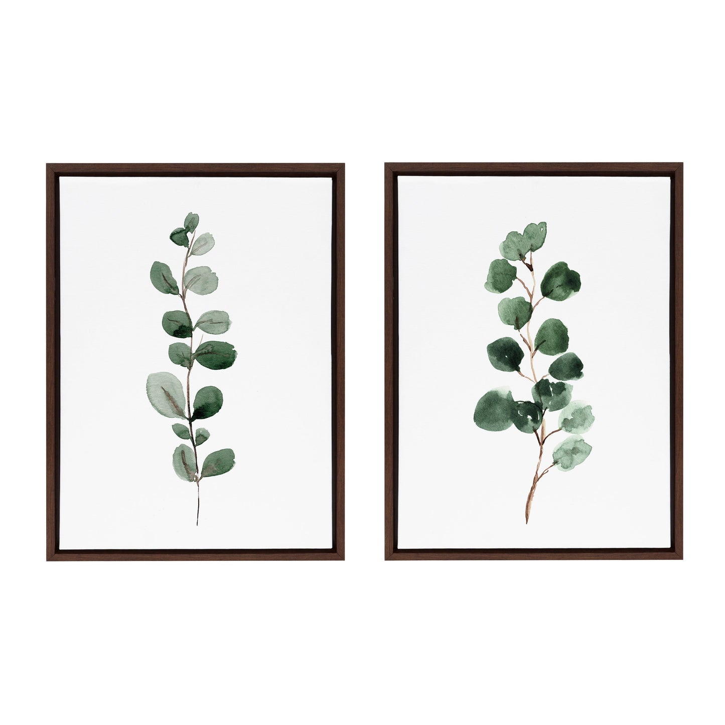 Eucalyptus Framed Canvas Set by Maja Mitrovic