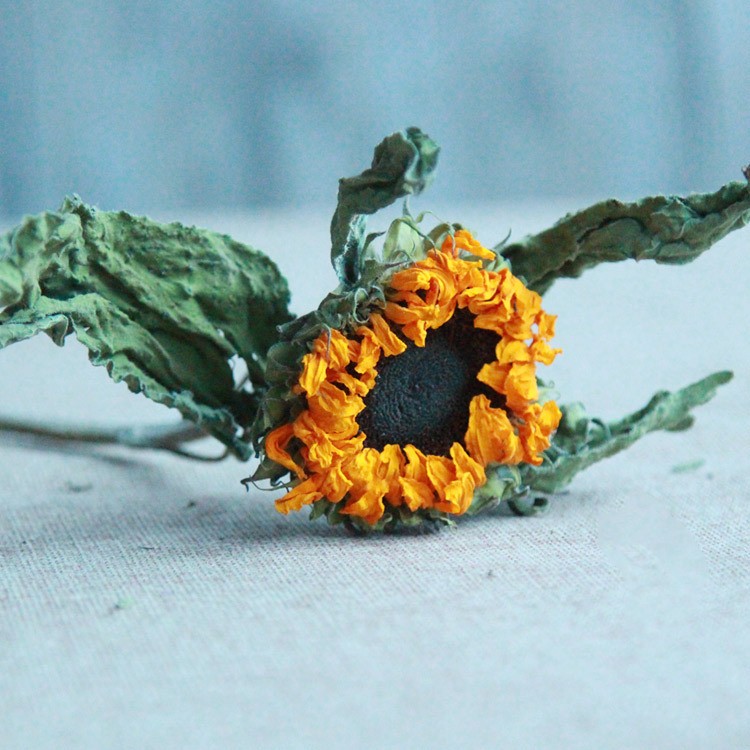 Golden Hour Dried Sunflowers - Hand-Preserved Everlasting Blooms for Home & Gifting