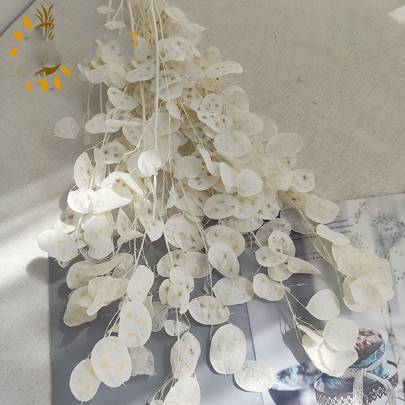Eternal Blooms - Hand-Selected Natural Air-Dried Flowers for DIY Decor & Gifting