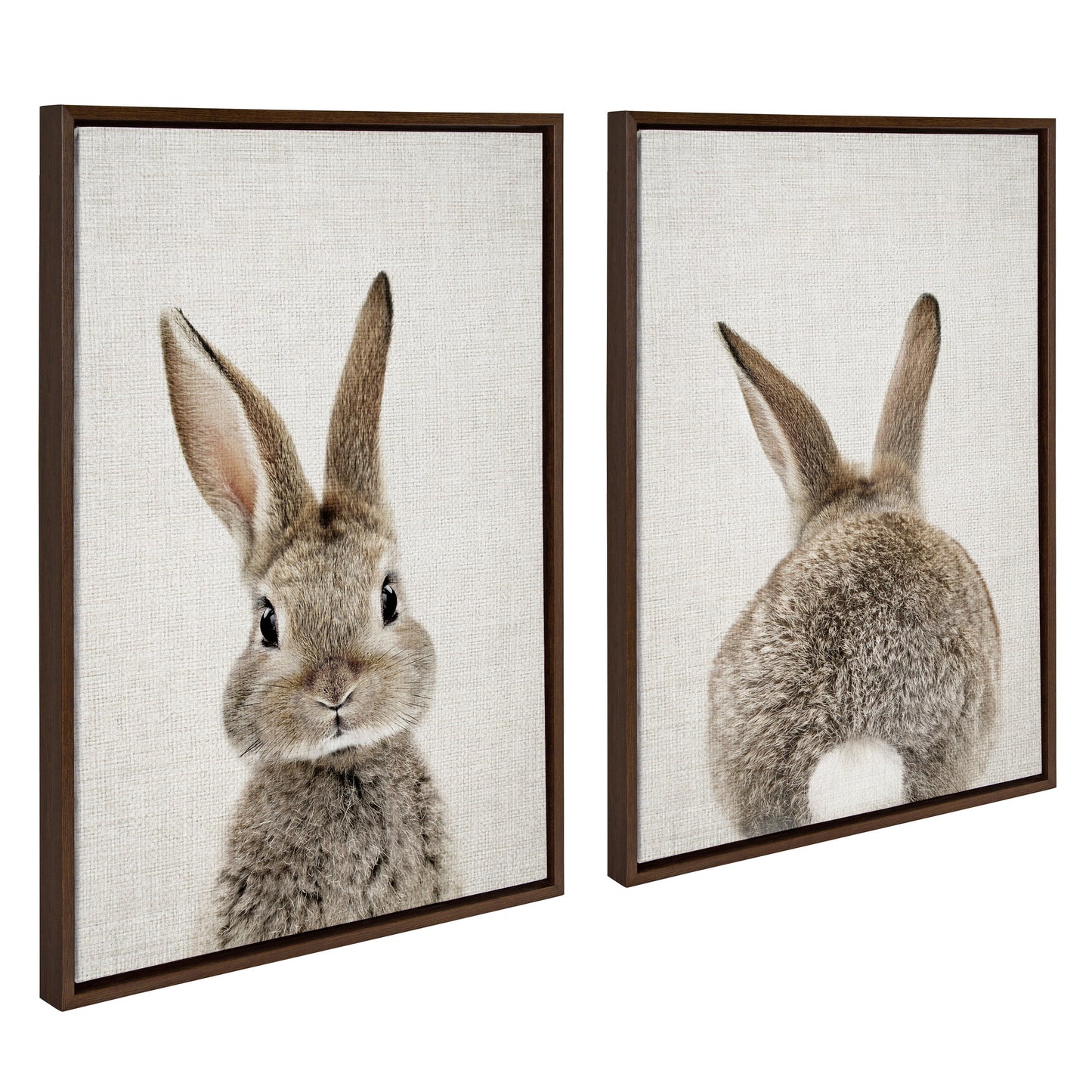 Sylvie Bunny Portrait and Bunny Tail Framed Canvas Art Set by Amy Peterson Art Studio