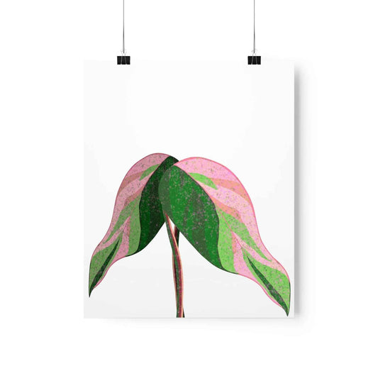 Pink Princess Philodendron Botanical Print – Unframed Wall Art