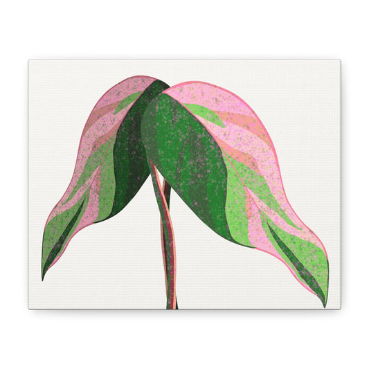Pink Princess Philodendron Canvas Print – Botanical Wall Art