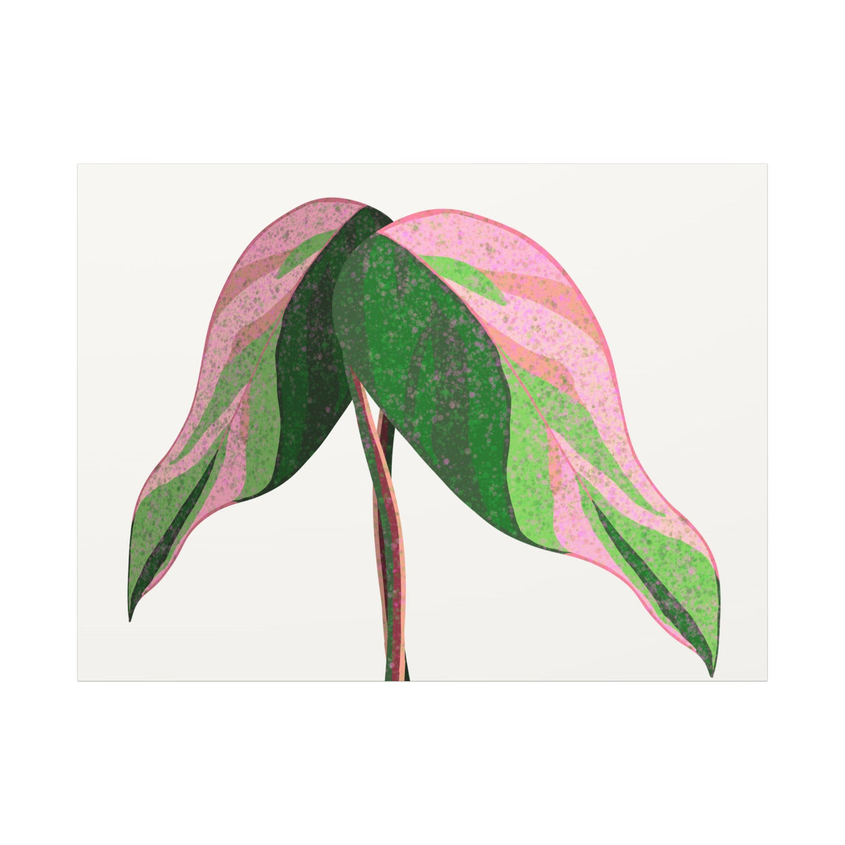 Pink Princess Philodendron Canvas Print – Botanical Wall Art