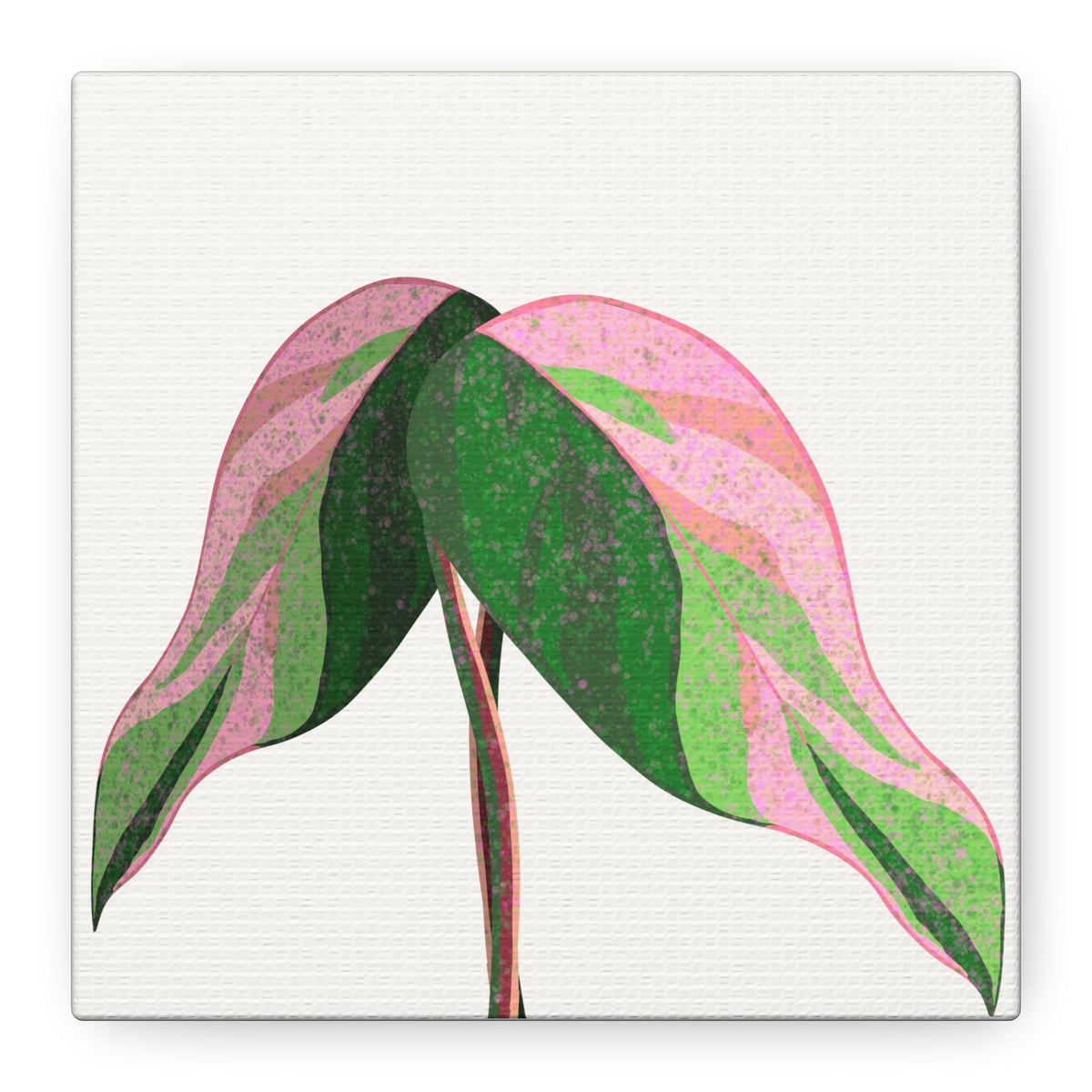 Pink Princess Philodendron Canvas Print – Botanical Wall Art