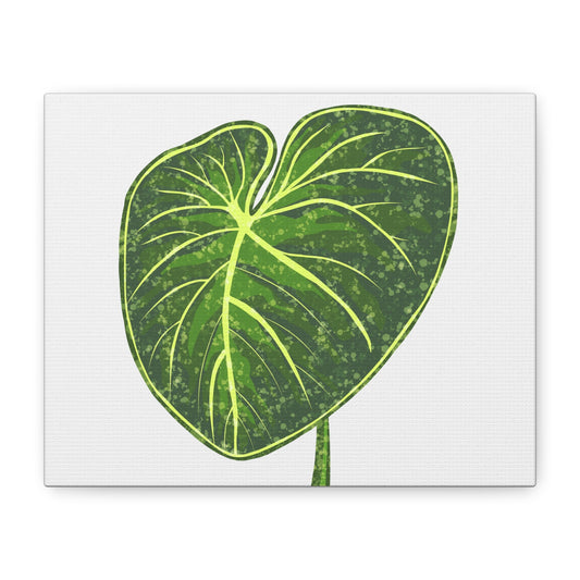 Philodendron Gloriosum Canvas Print – Botanical Wall Art