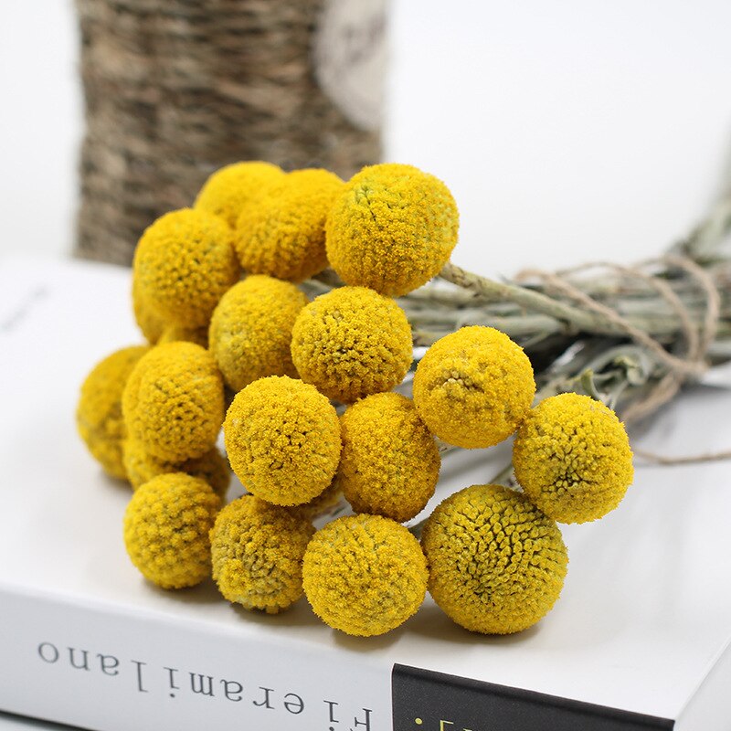 Yellow spherical flowers on a white surface with a blurred background