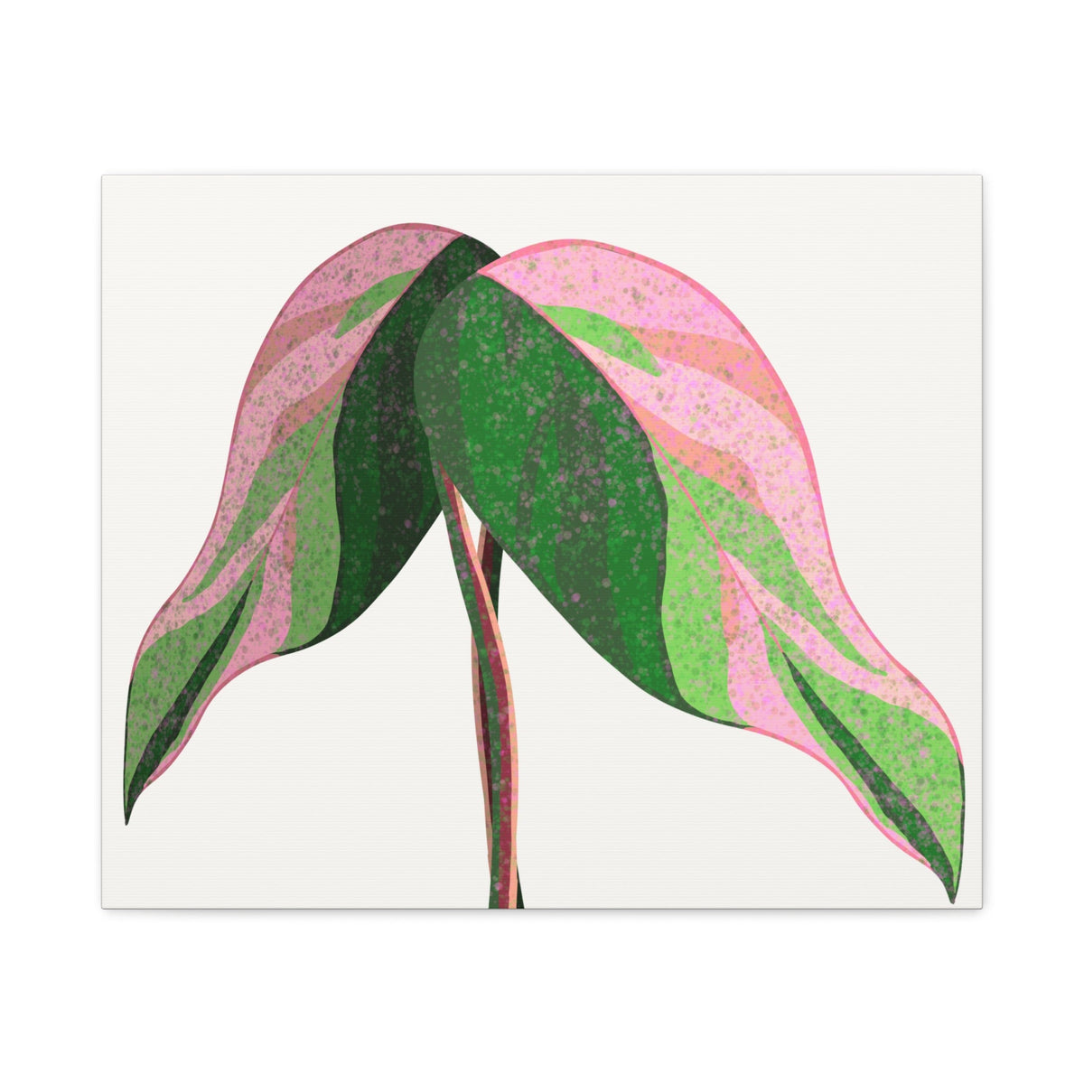 Pink Princess Philodendron Canvas Print – Botanical Wall Art