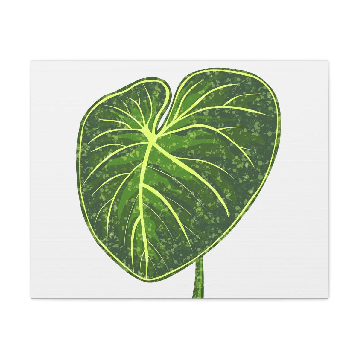 Philodendron Gloriosum Canvas Print – Botanical Wall Art