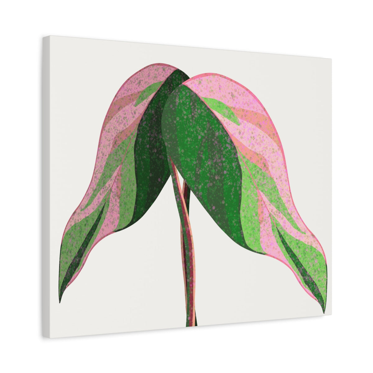 Pink Princess Philodendron Canvas Print – Botanical Wall Art