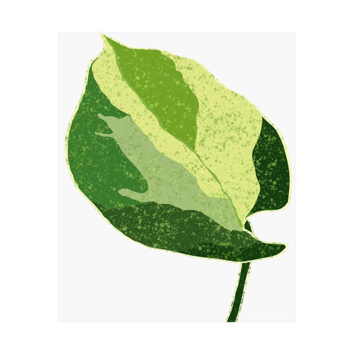Manjula Pothos Illustrated Botanical Print – Unframed Wall Art
