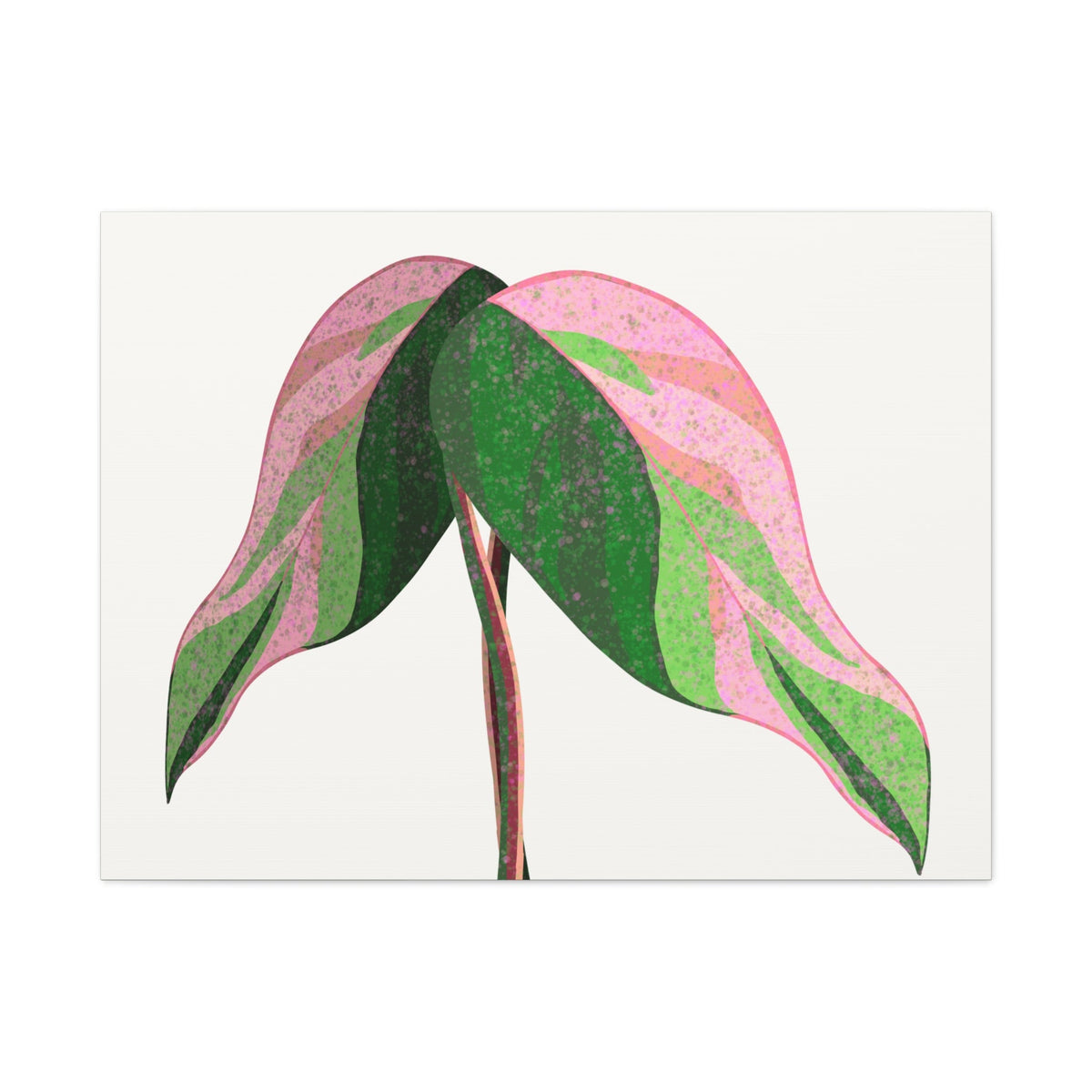 Pink Princess Philodendron Canvas Print – Botanical Wall Art