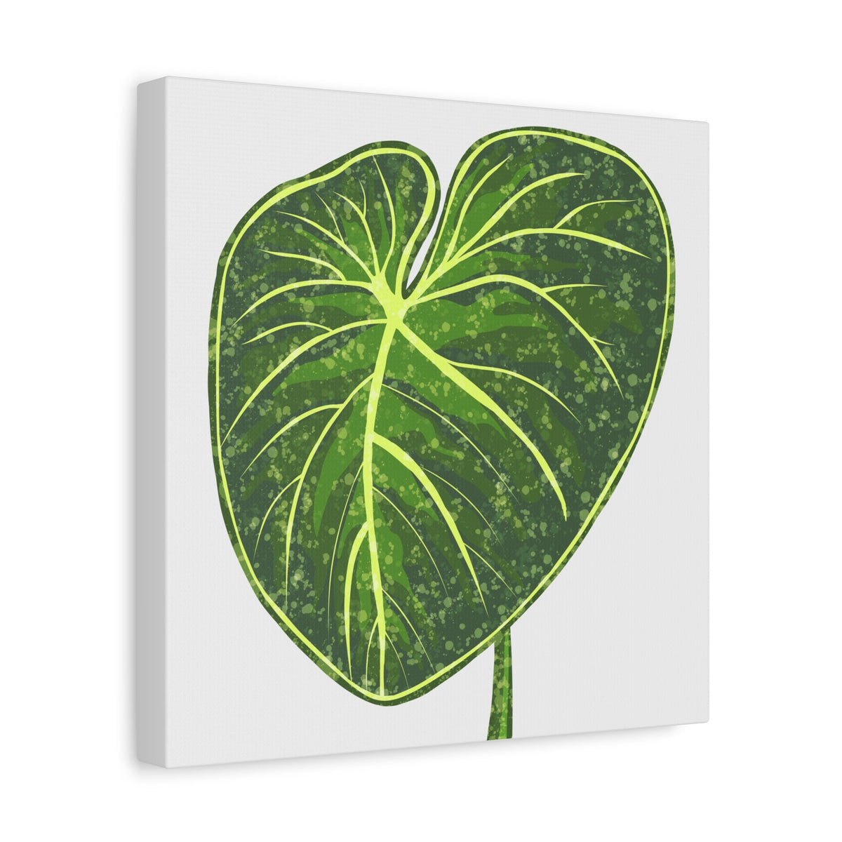 Philodendron Gloriosum Canvas Print – Botanical Wall Art