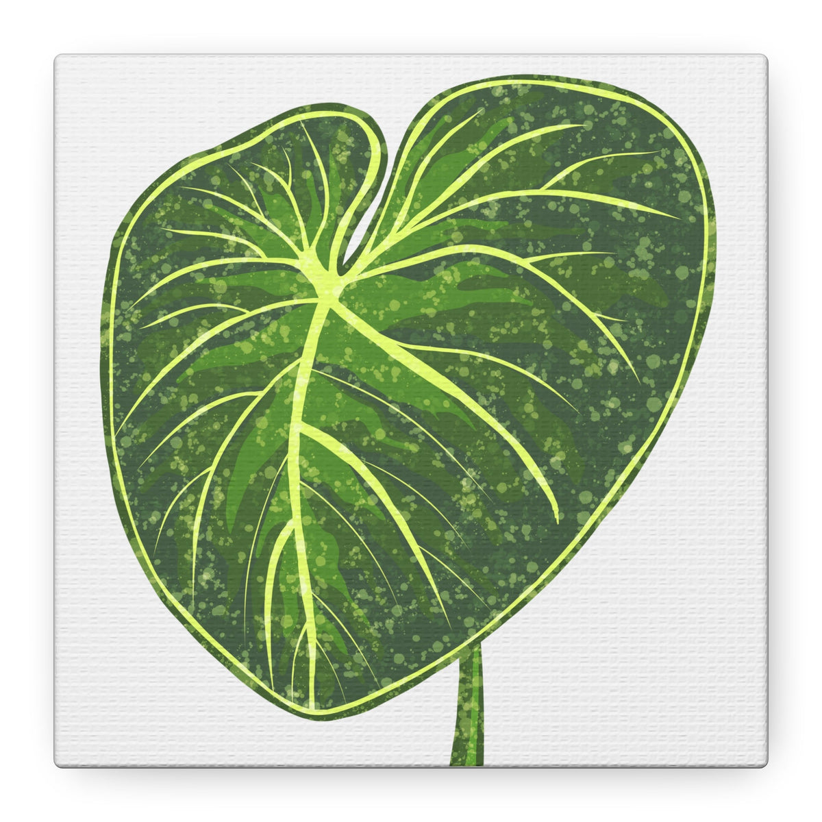 Philodendron Gloriosum Canvas Print – Botanical Wall Art