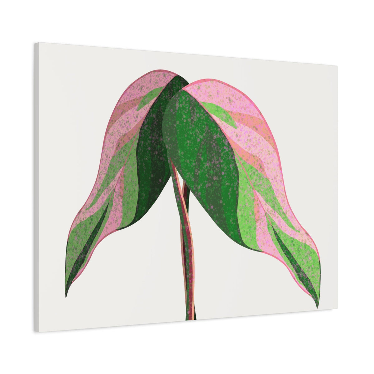 Pink Princess Philodendron Canvas Print – Botanical Wall Art
