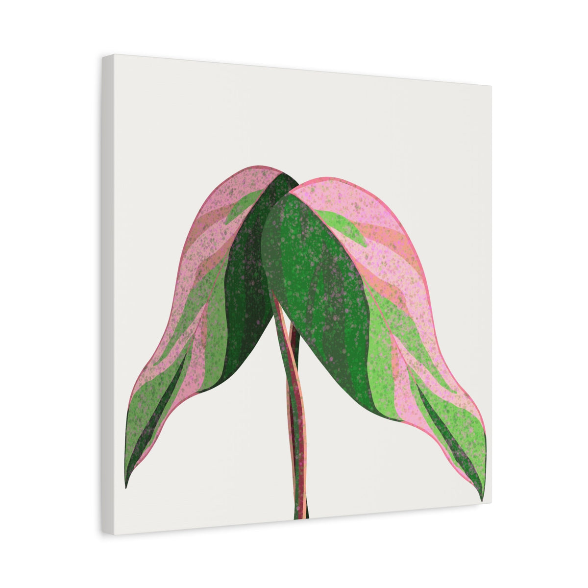 Pink Princess Philodendron Canvas Print – Botanical Wall Art