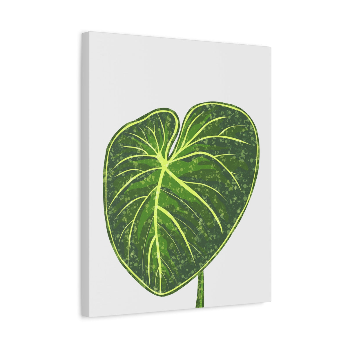 Philodendron Gloriosum Canvas Print – Botanical Wall Art