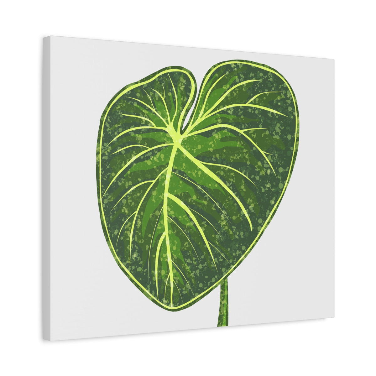 Philodendron Gloriosum Canvas Print – Botanical Wall Art