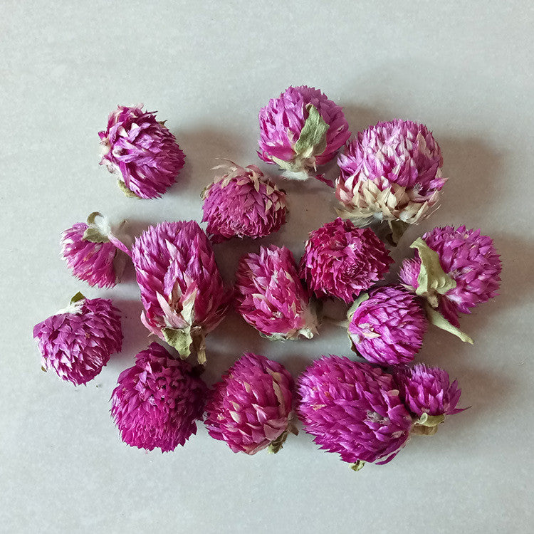 Artisan 3D Preserved Botanicals - Real Dried Flowers for Resin Art, Framing, and DIY Crafts