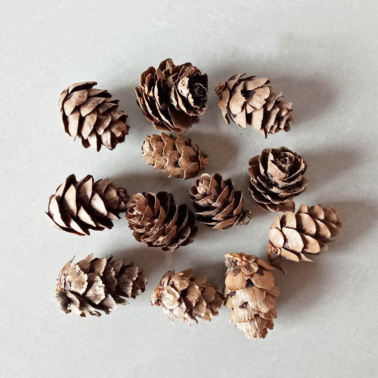 Artisan 3D Preserved Botanicals - Real Dried Flowers for Resin Art, Framing, and DIY Crafts