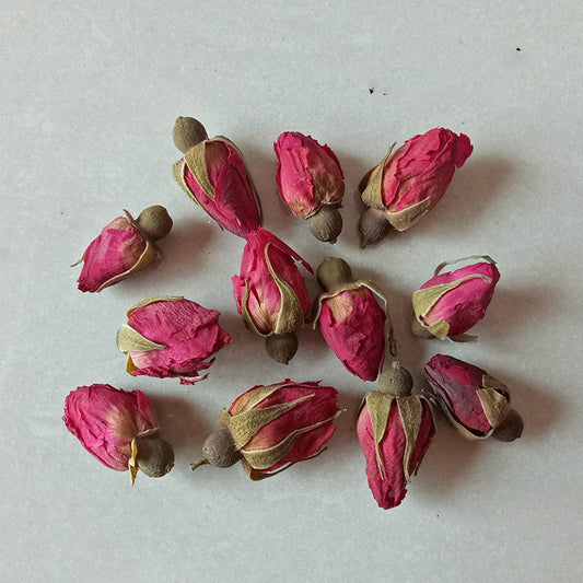 Artisan 3D Preserved Botanicals - Real Dried Flowers for Resin Art, Framing, and DIY Crafts