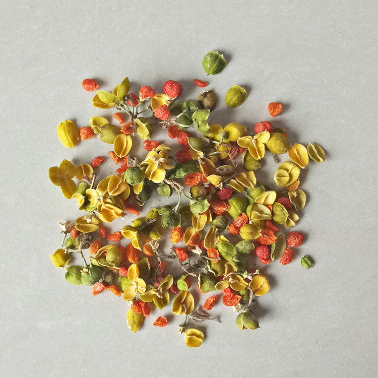 Artisan 3D Preserved Botanicals - Real Dried Flowers for Resin Art, Framing, and DIY Crafts