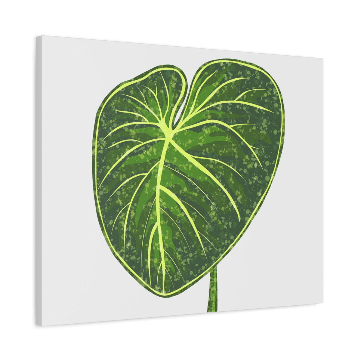Philodendron Gloriosum Canvas Print – Botanical Wall Art