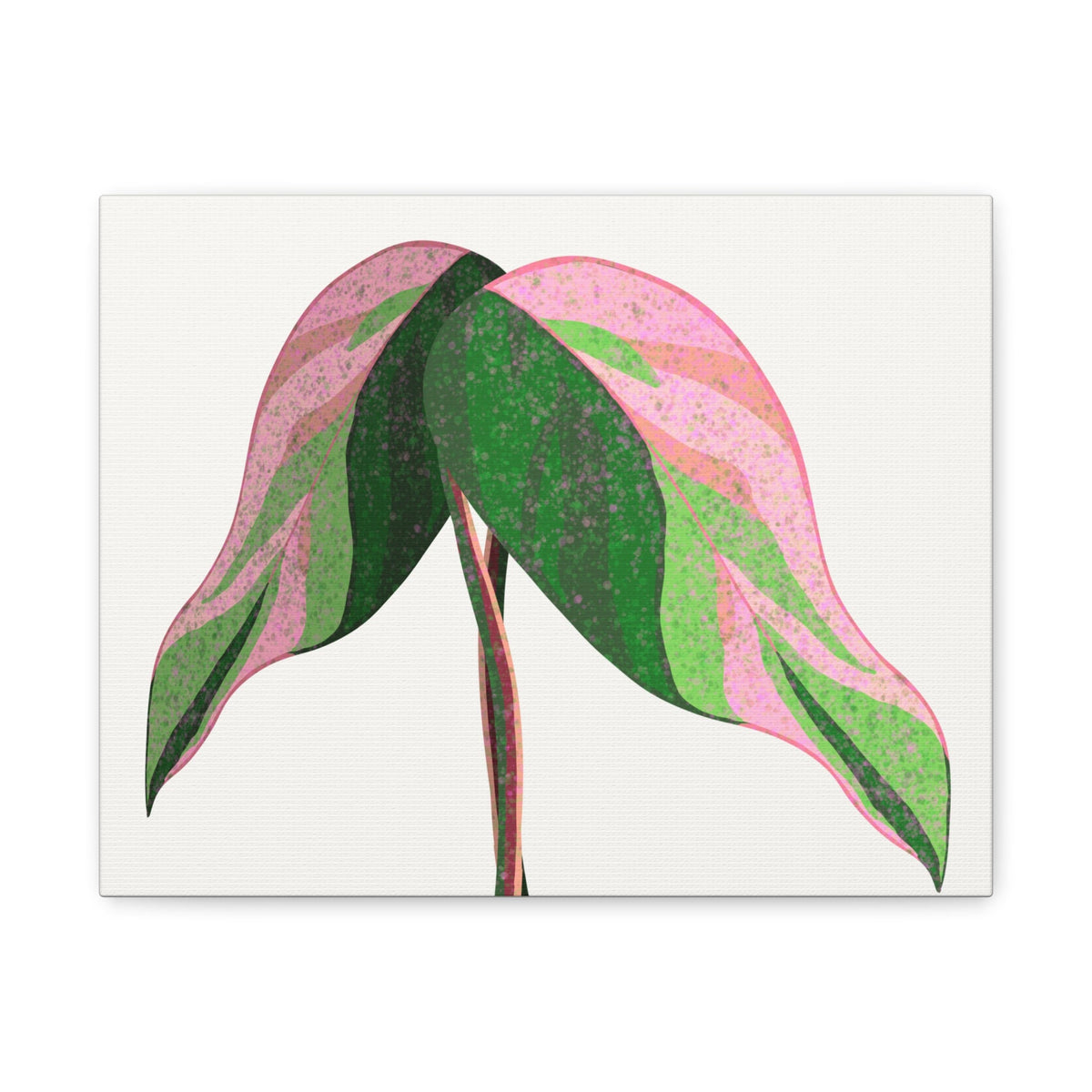 Pink Princess Philodendron Canvas Print – Botanical Wall Art