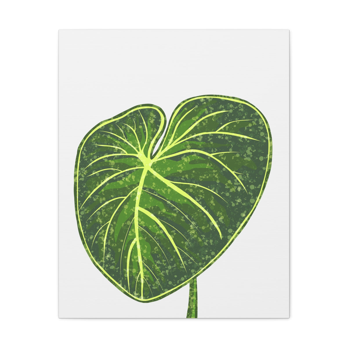 Philodendron Gloriosum Canvas Print – Botanical Wall Art