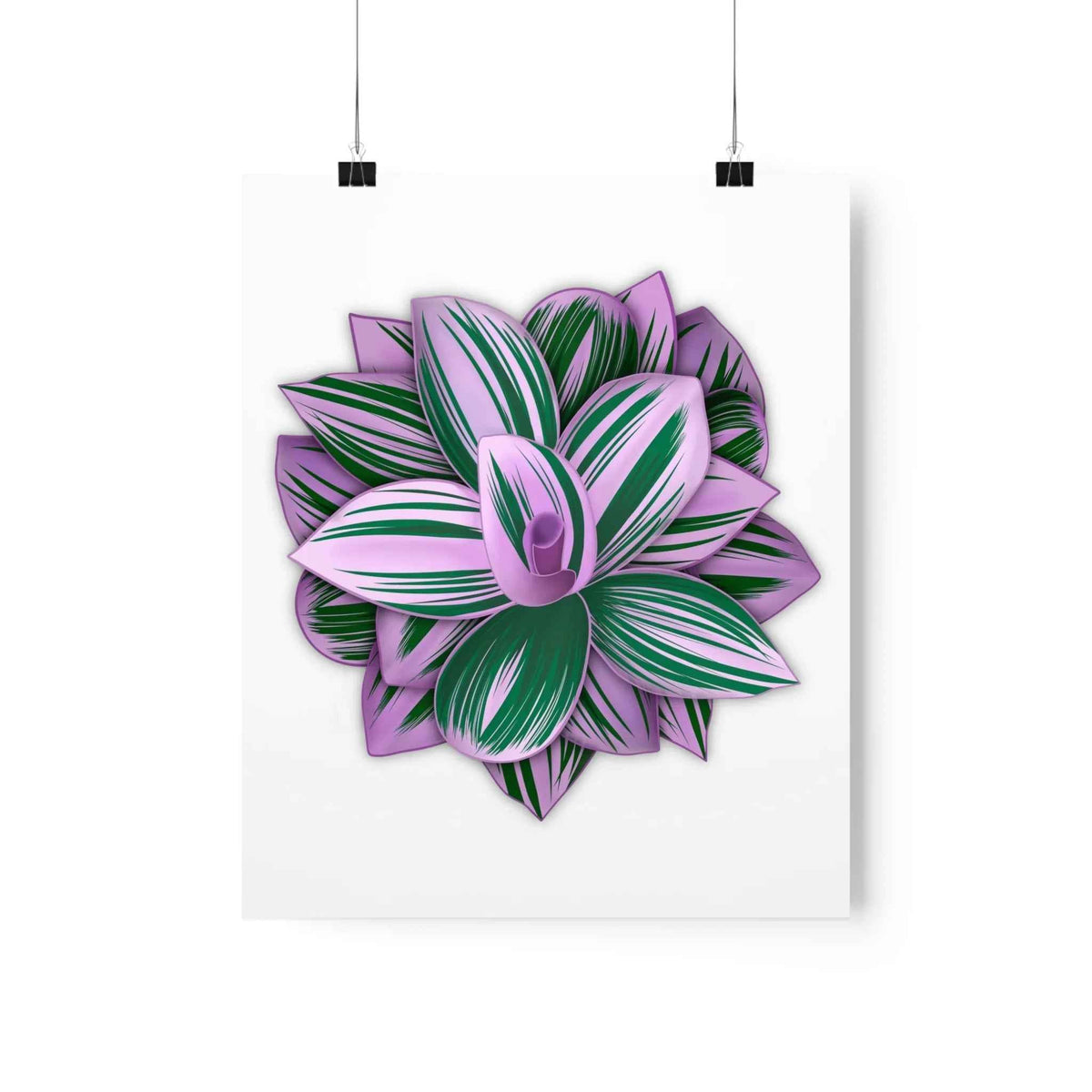 Tradescantia Nanouk Botanical Print – Unframed Wall Art
