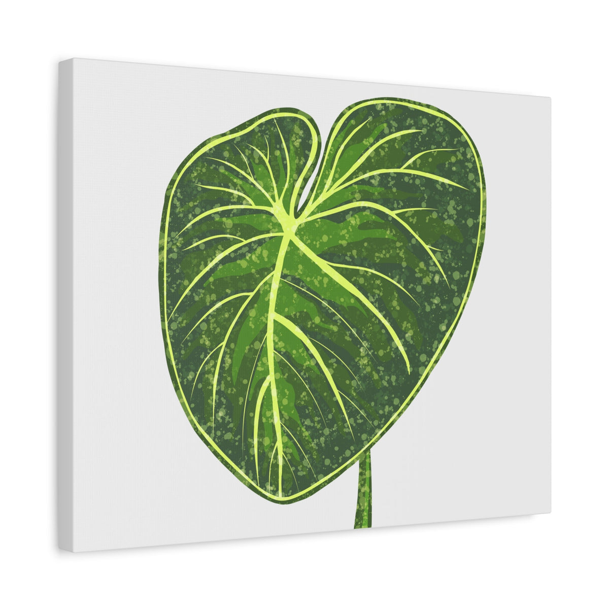 Philodendron Gloriosum Canvas Print – Botanical Wall Art