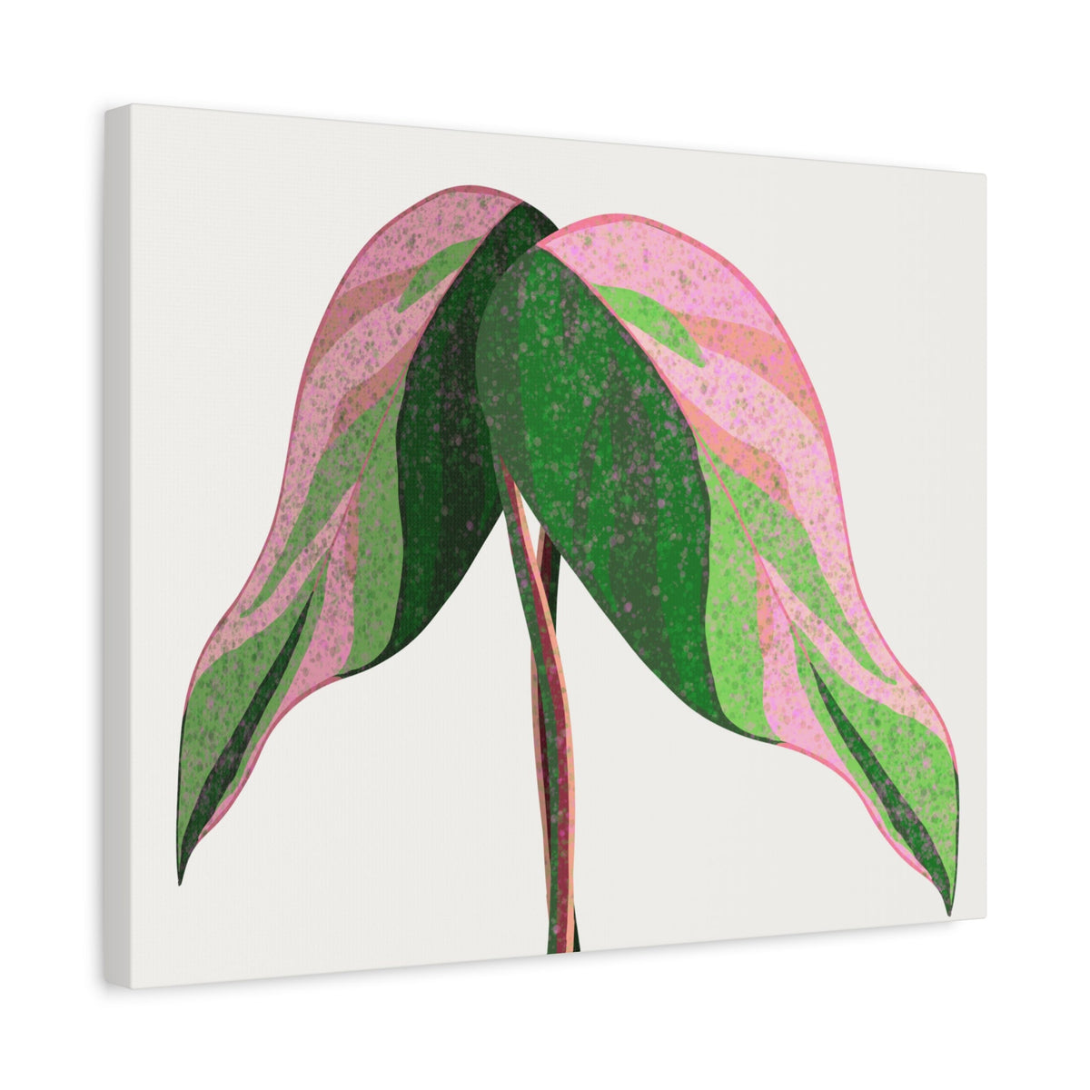 Pink Princess Philodendron Canvas Print – Botanical Wall Art
