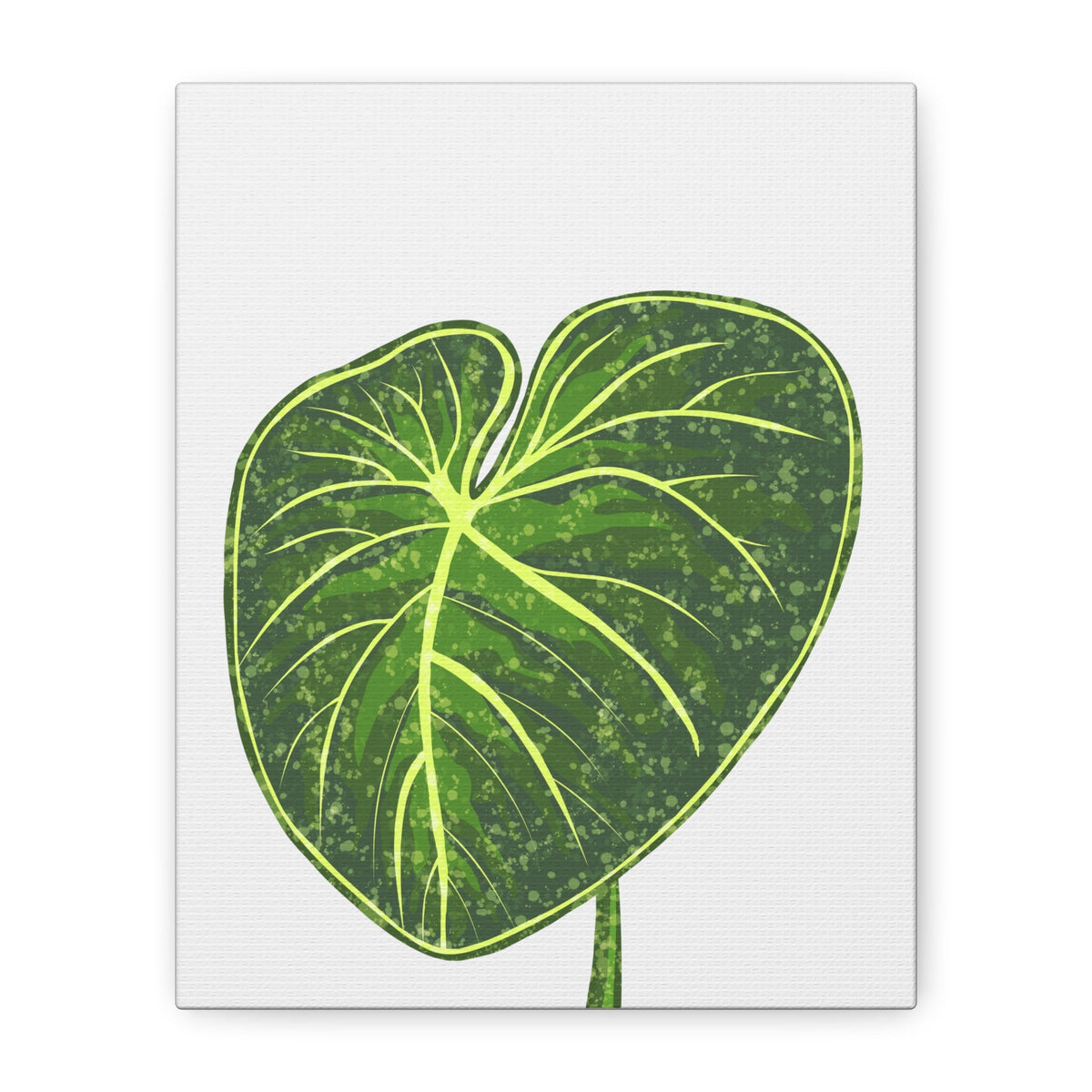 Philodendron Gloriosum Canvas Print – Botanical Wall Art