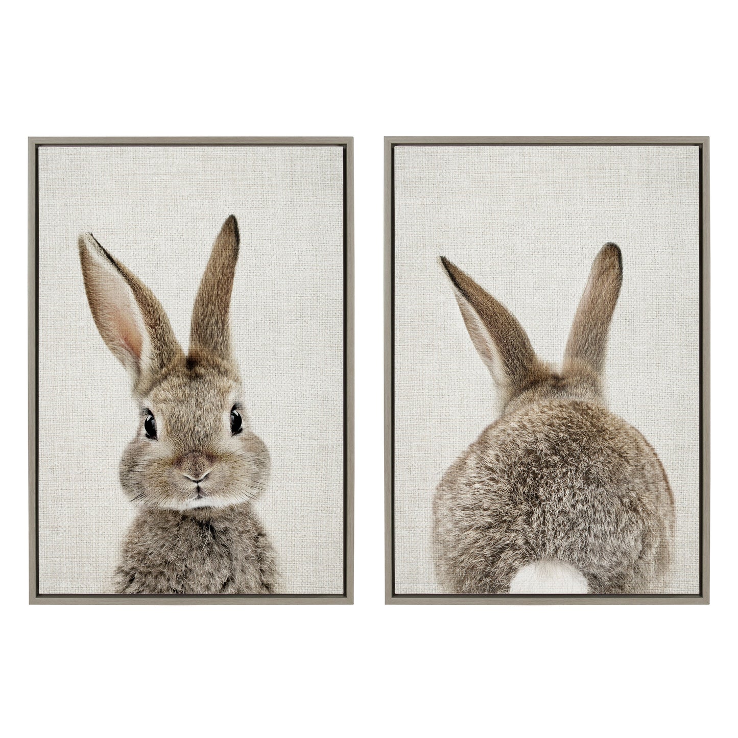 Sylvie Bunny Portrait and Bunny Tail Framed Canvas Art Set by Amy Peterson Art Studio