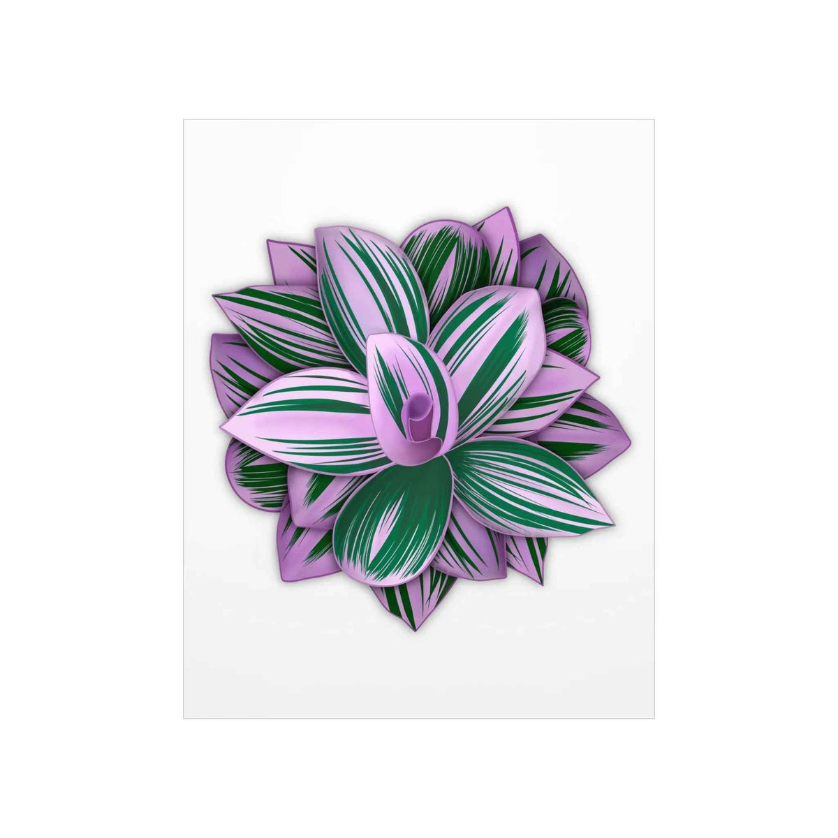 Tradescantia Nanouk Botanical Print – Unframed Wall Art