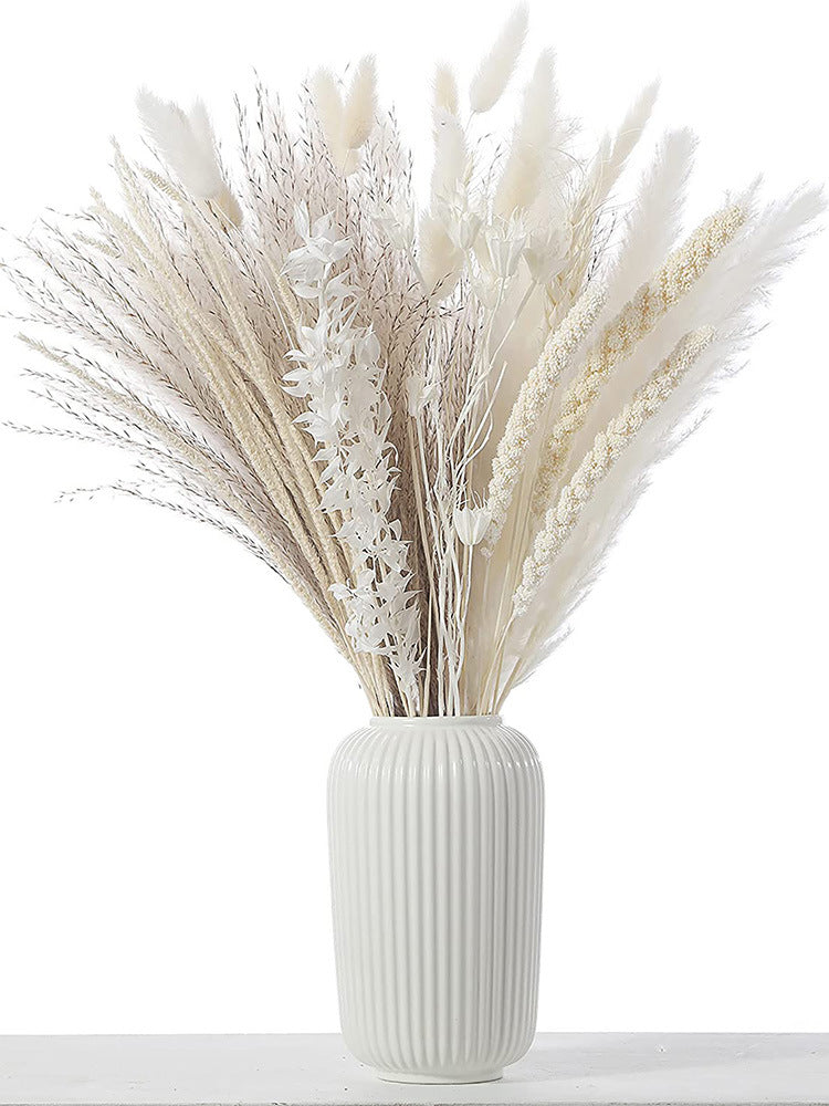 Boho-Chic Natural Dried Pampas Reeds - Hand-Selected Decorative Bouquet