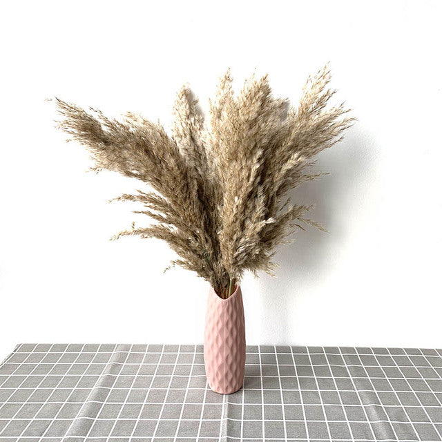 Luxe Cloud Pampas Grass - Extra Fluffy Natural Dried Stems for Floor Vases & Boho Wedding Decor