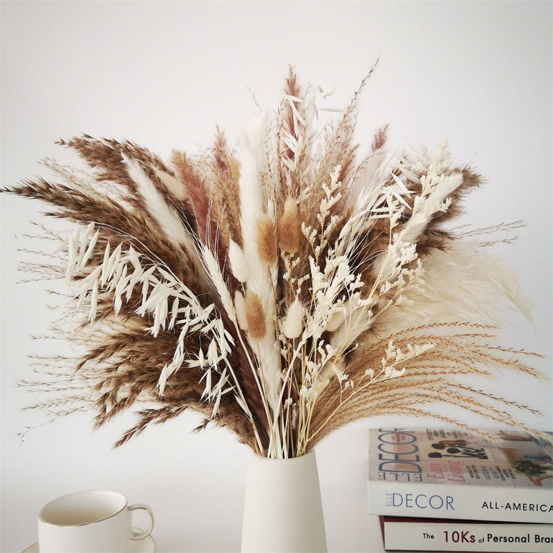 Boho-Chic Natural Dried Pampas Reeds - Hand-Selected Decorative Bouquet