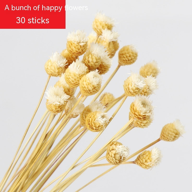 Golden Harvest Dried Wheat Stems - 100pc Natural Sun-Dried Bouquet for Rustic Home & Wedding Decor