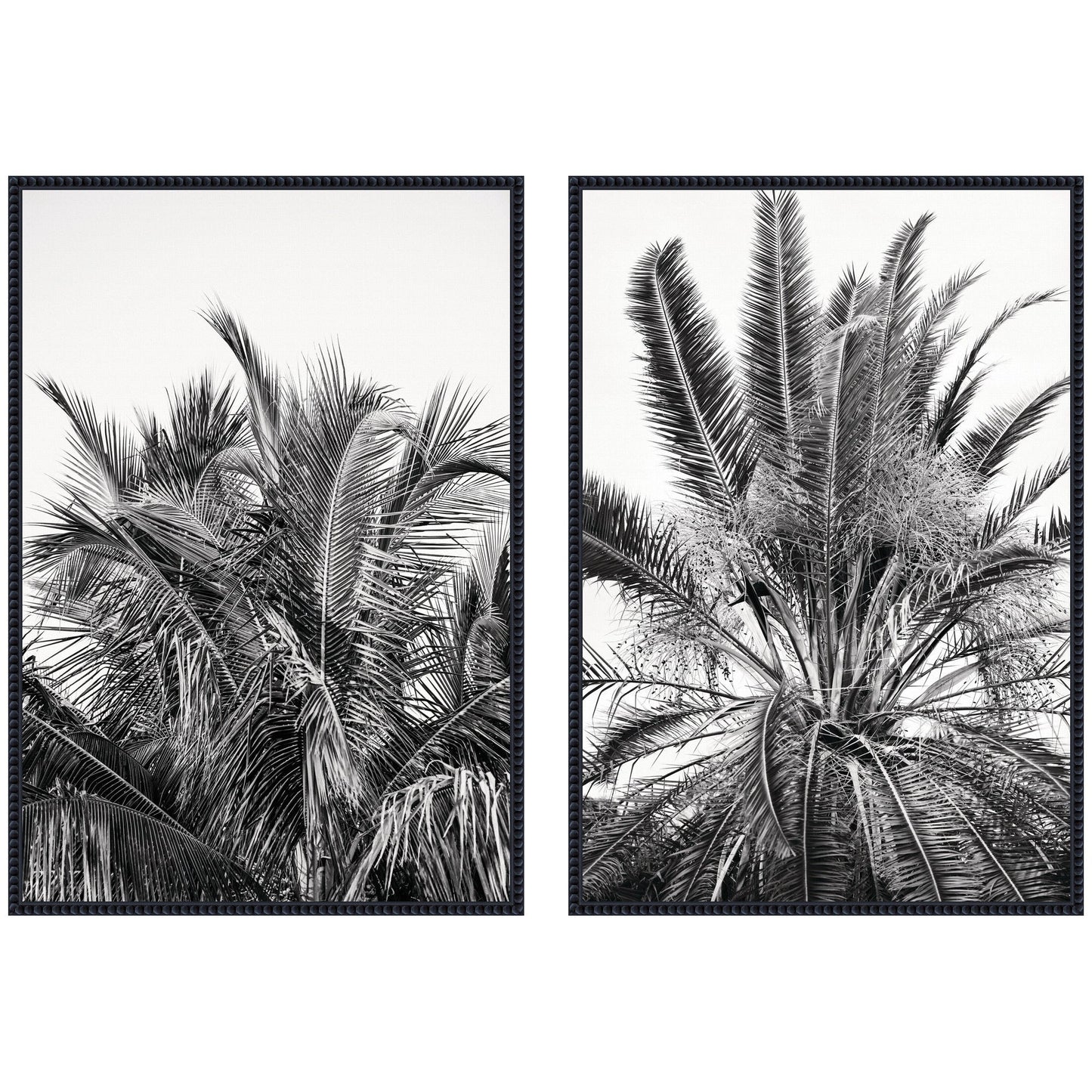 Palms No. 13 & No.15 2 Piece Framed Canvas Wall Art Set by Alicia Bock
