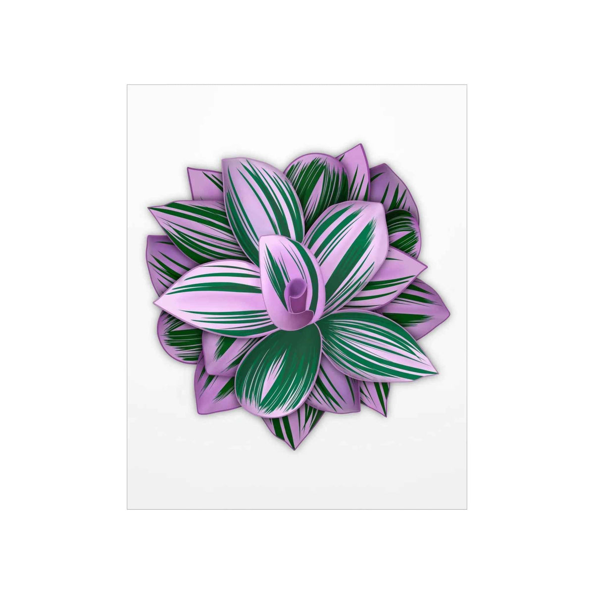 Tradescantia Nanouk Botanical Print – Unframed Wall Art
