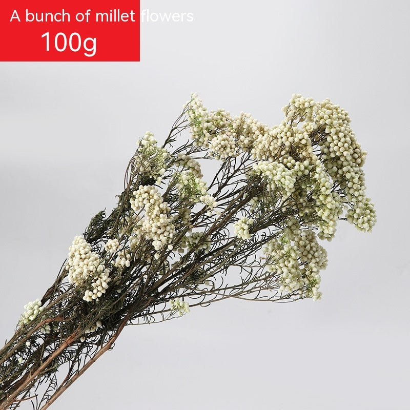 Golden Harvest Dried Wheat Stems - 100pc Natural Sun-Dried Bouquet for Rustic Home & Wedding Decor