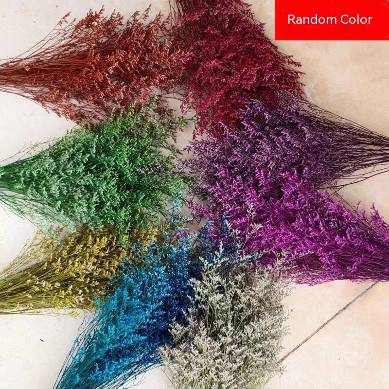 Golden Harvest Dried Wheat Stems - 100pc Natural Sun-Dried Bouquet for Rustic Home & Wedding Decor