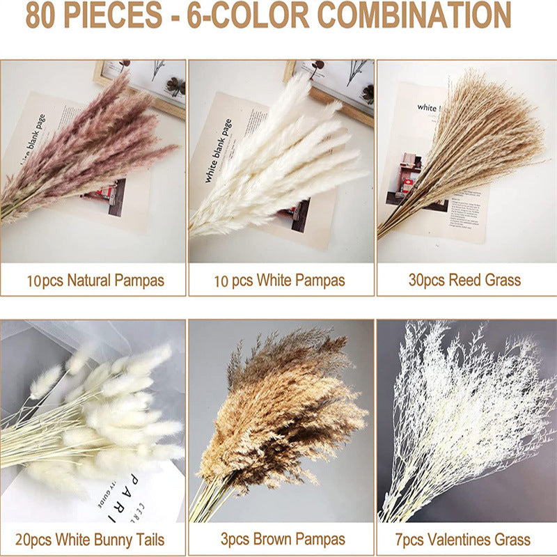 Boho-Chic Natural Dried Pampas Reeds - Hand-Selected Decorative Bouquet