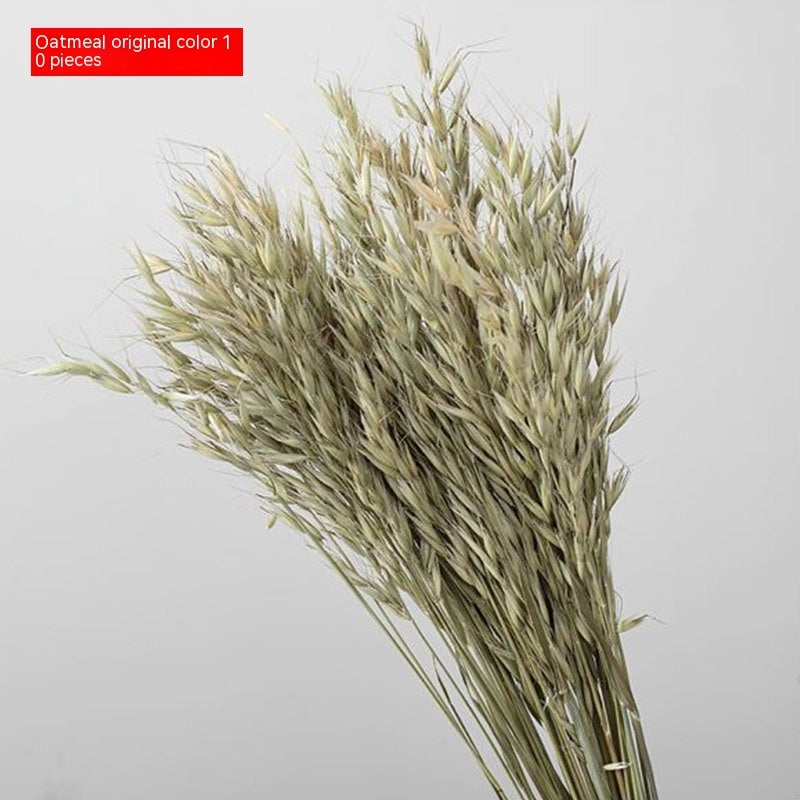 Golden Harvest Dried Wheat Stems - 100pc Natural Sun-Dried Bouquet for Rustic Home & Wedding Decor
