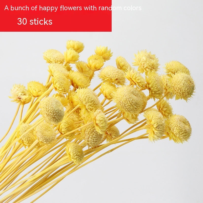 Golden Harvest Dried Wheat Stems - 100pc Natural Sun-Dried Bouquet for Rustic Home & Wedding Decor