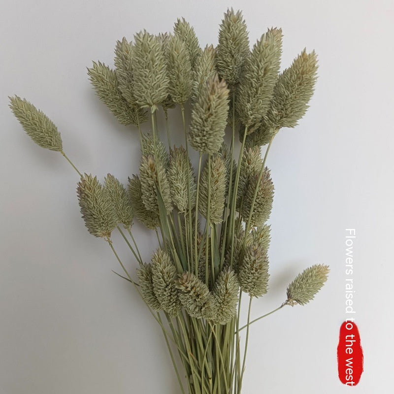 Golden Harvest Dried Wheat Stems - 100pc Natural Sun-Dried Bouquet for Rustic Home & Wedding Decor
