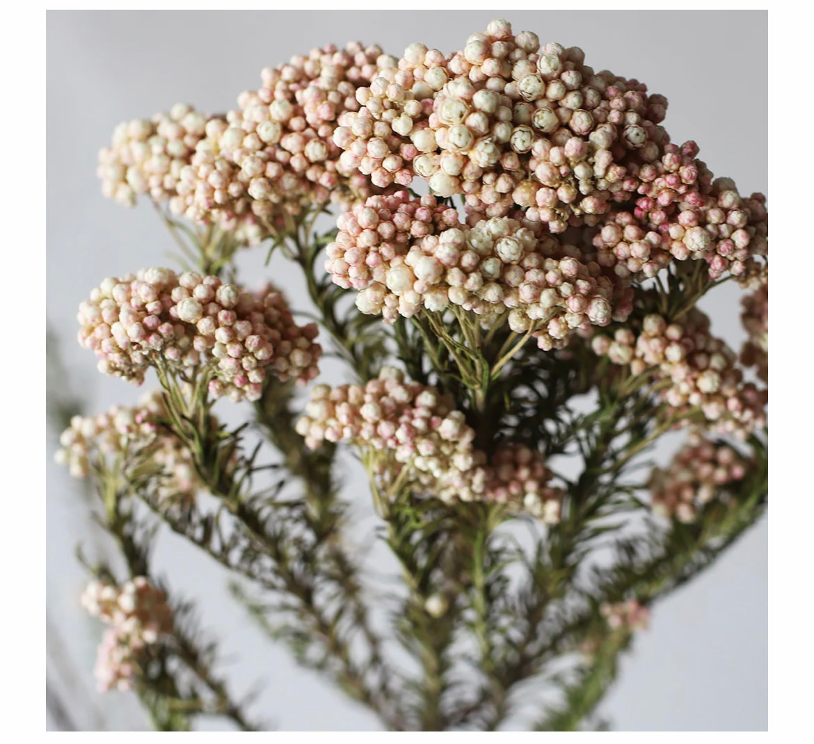 Signature Hand-Tied Dried Flower Bouquet - Curated Farmhouse Centerpiece for Coffee Tables & Entryways