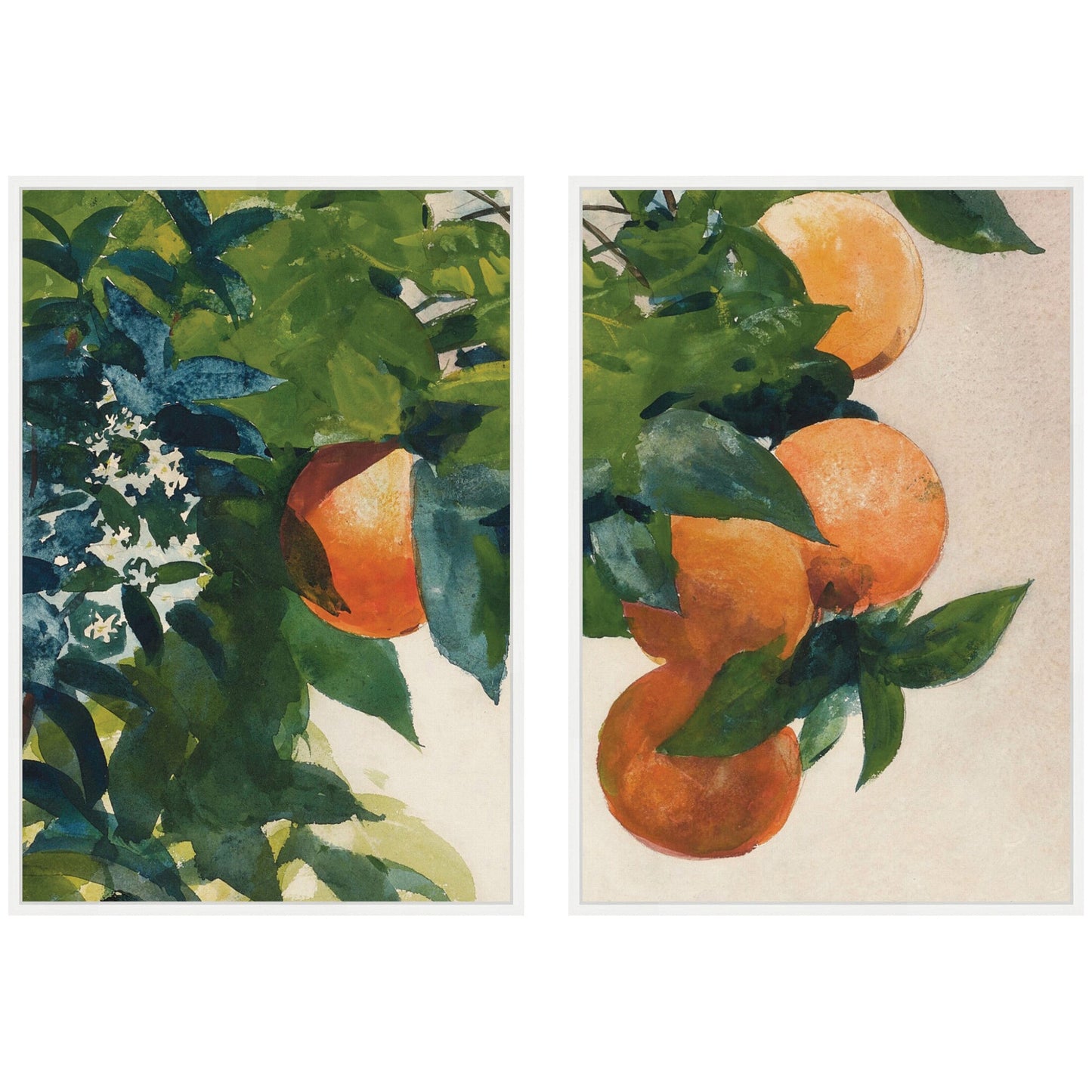 Two framed artworks of oranges and green leaves on a white background