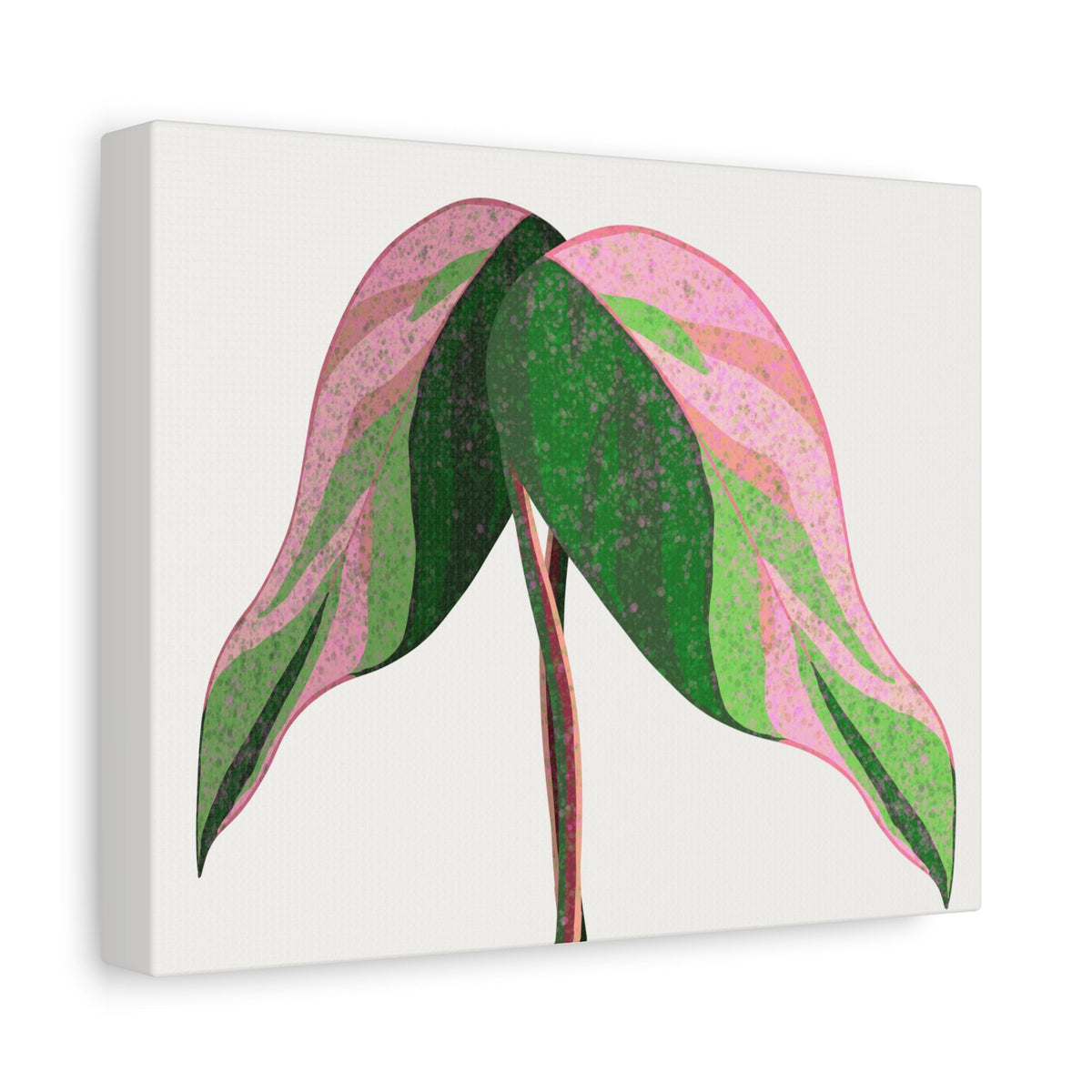 Pink Princess Philodendron Canvas Print – Botanical Wall Art
